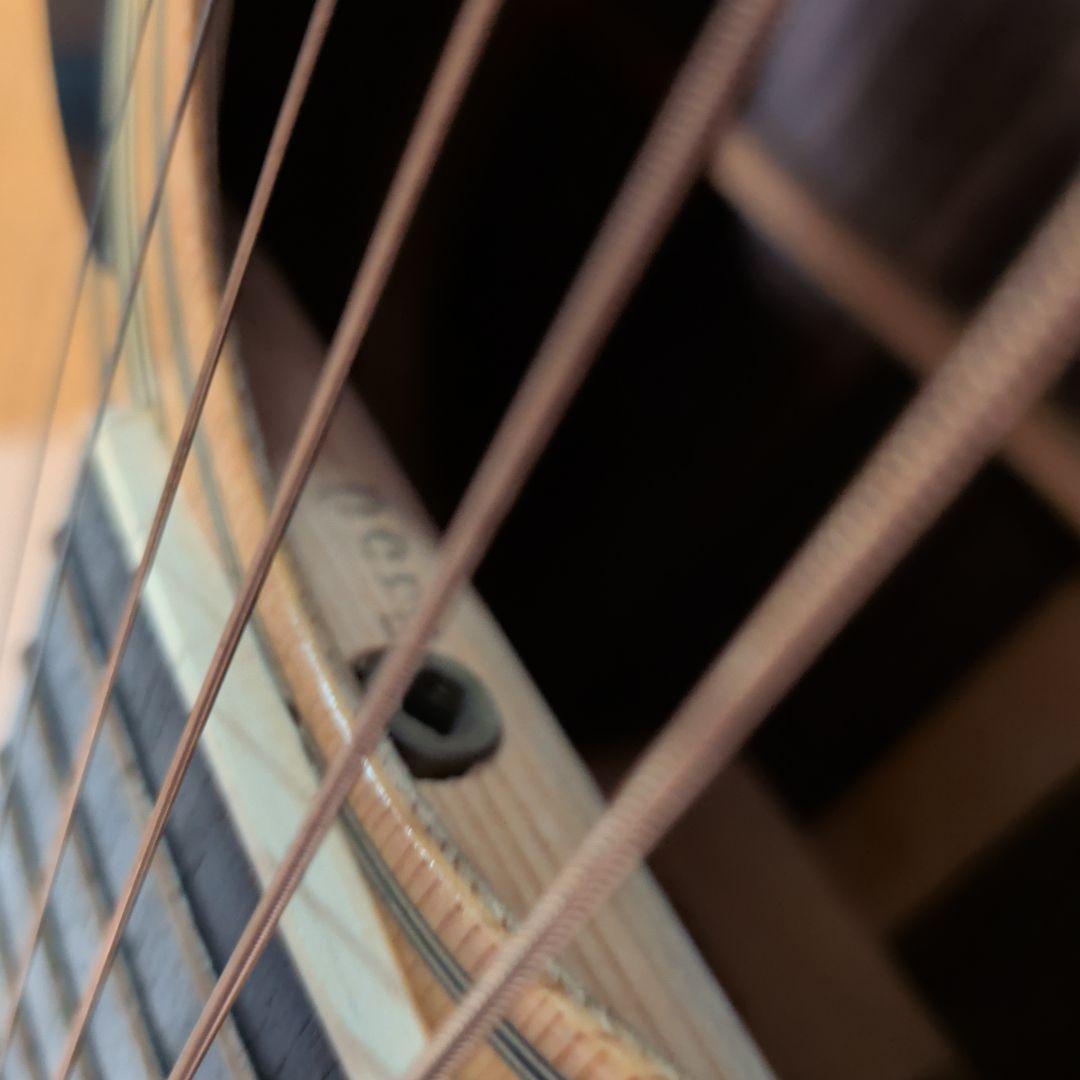 アコースティックギターRidar R350custom-model