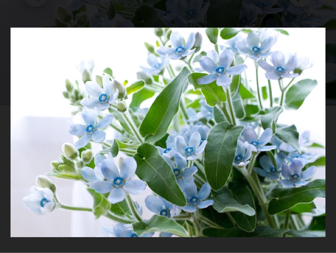 ⭐︎えつ⭐︎　COOTIE Garment Workers Mジャケット