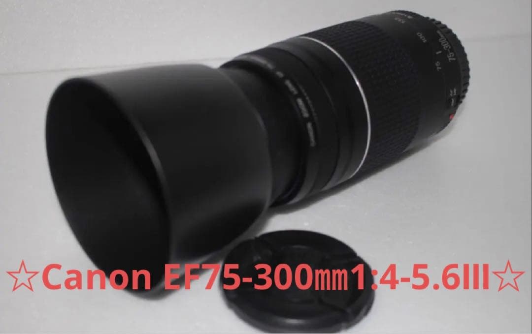 キャノン☆望遠レンズ☆Canon EF75-300㎜1:4-5.6Ⅲ☆