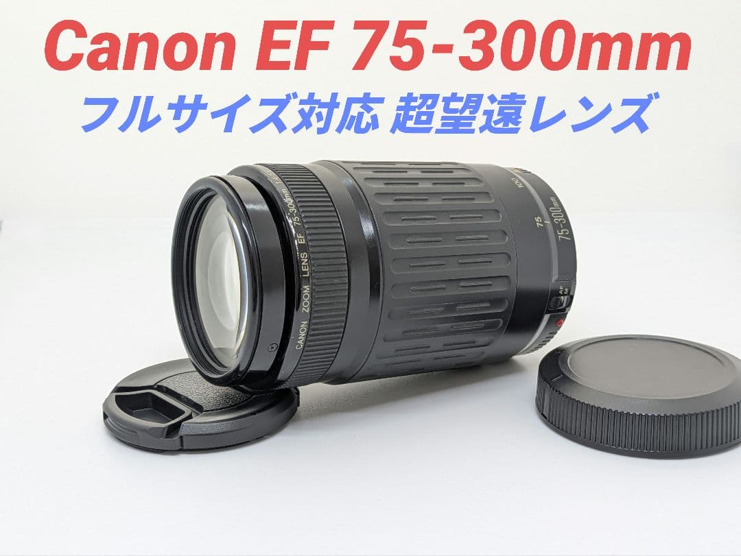 torinosu①OP付【超望遠レンズ】Canon EF 75-300mm