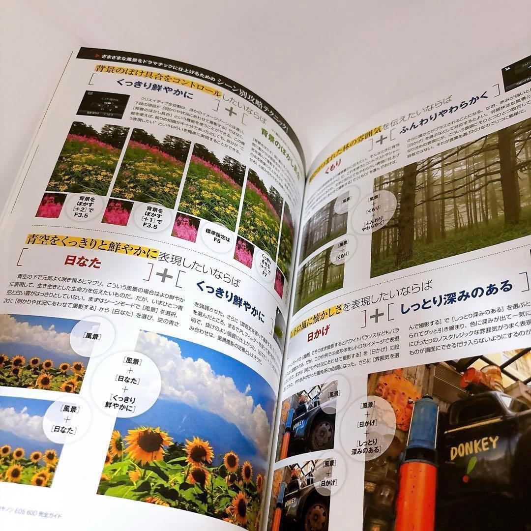 ショット数少ない4526回⭐️美品⭐️付属品充実⭐️Canon EOS 60D