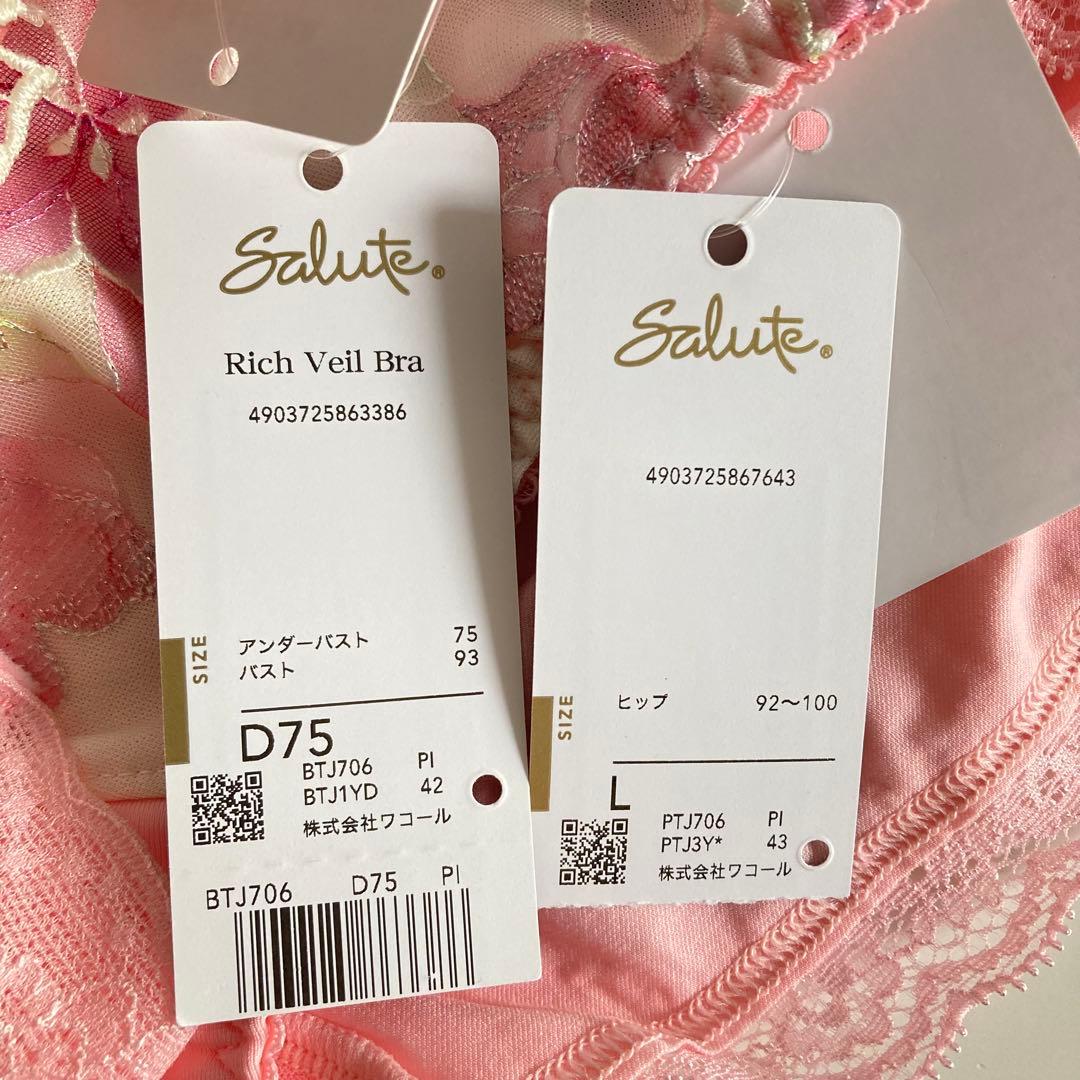 サルート　ベトナムの花嫁　D75/L　PI　06　脇高ブラ　ノーマルショーツ