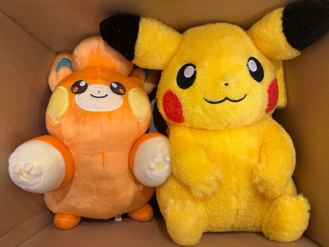 ピカピカBOX2026 金のコイキングバック付き