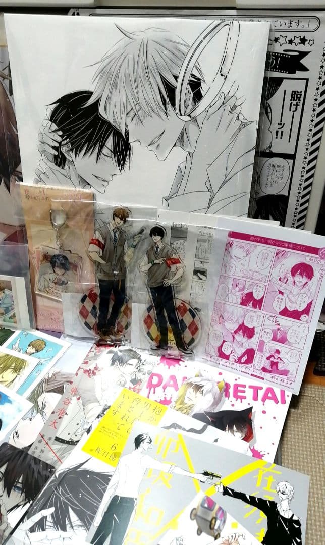 抱かれたい男一位に脅されています　だかいち　小冊子　ブックレット　リーフレット