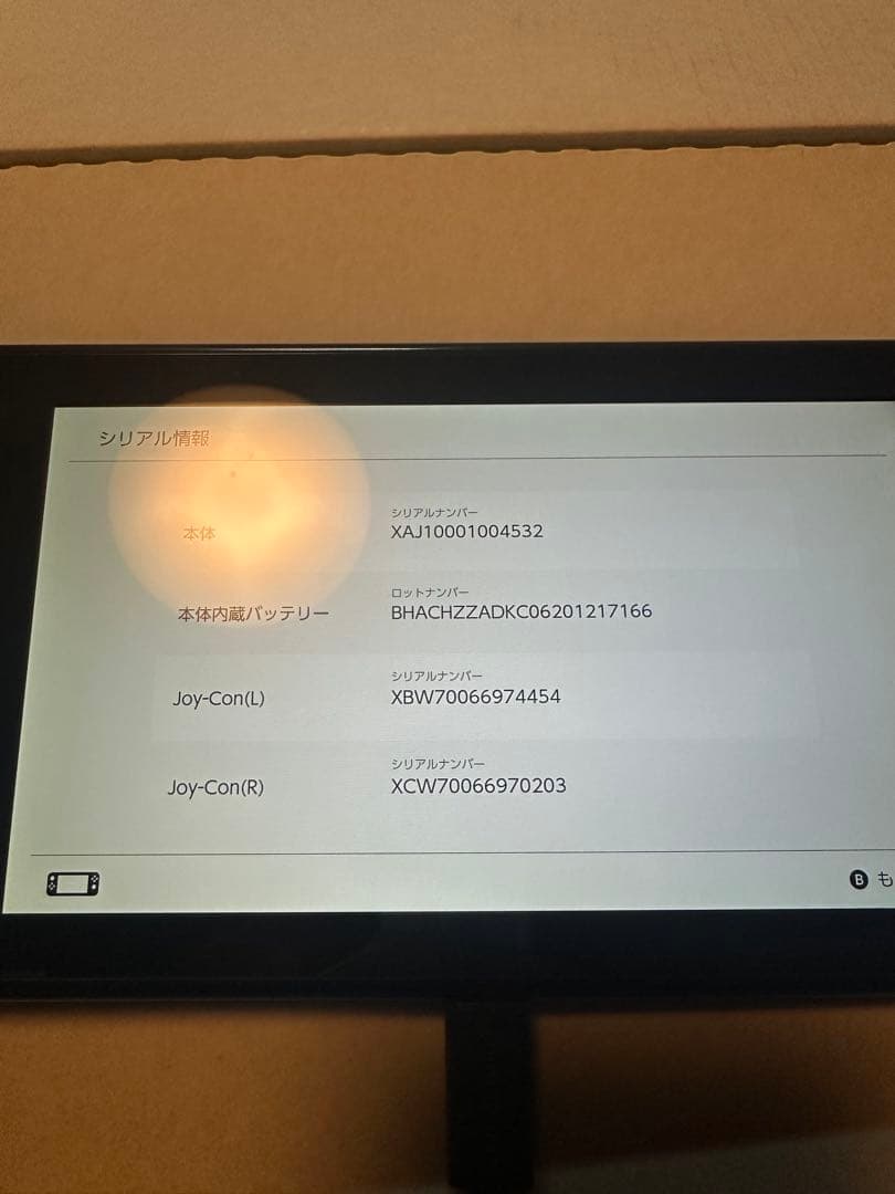 ※えみすてり　Nintendo Switch 2017年製