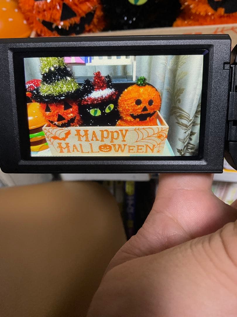 SONY HDカメラ HDR-CX670とバッテリー2個のセット