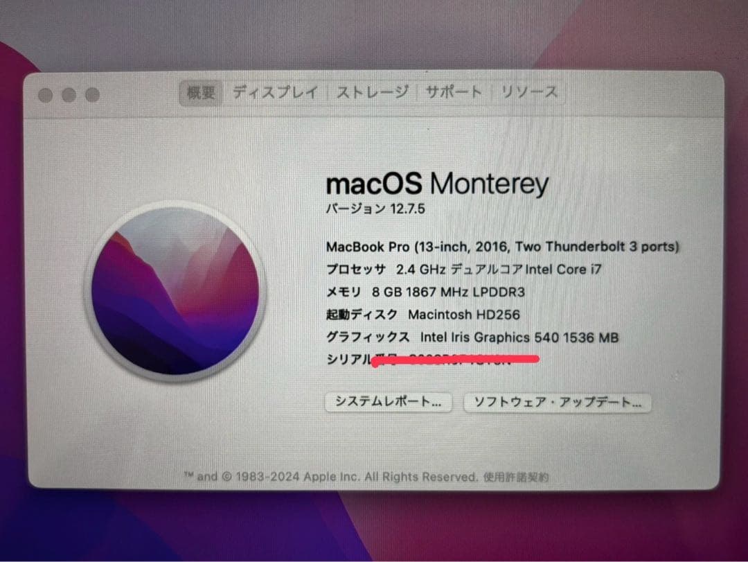 MacBook Pro 13インチ 2016 A1708 本体のみ