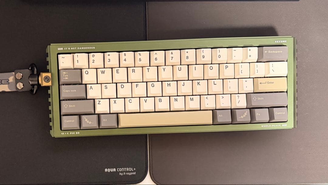 おまけ付きGateron GT60 PRO PIC60 ラピッドトリガー