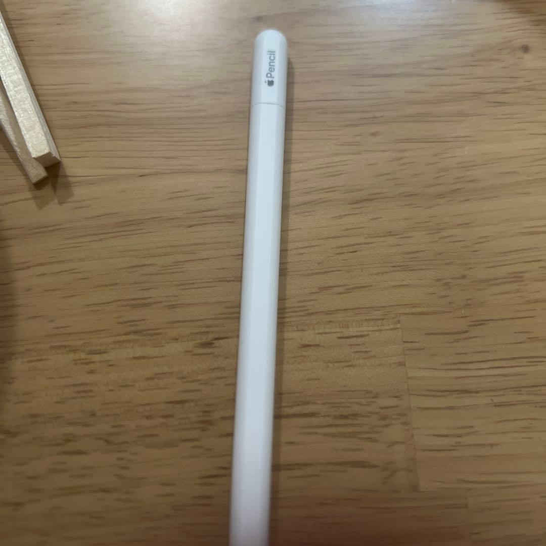 iPadアクセサリー Apple Pencil typeC