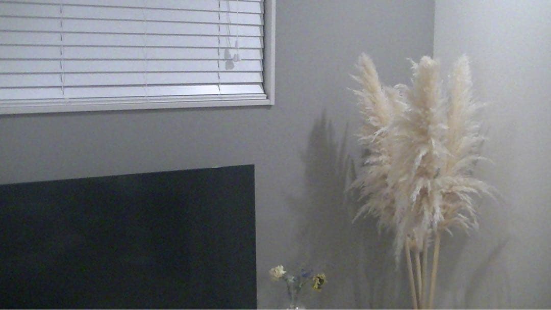 ♥︎◇JVC Everio GZ-HM460 ◇スマホ転送♪ ◇レッド