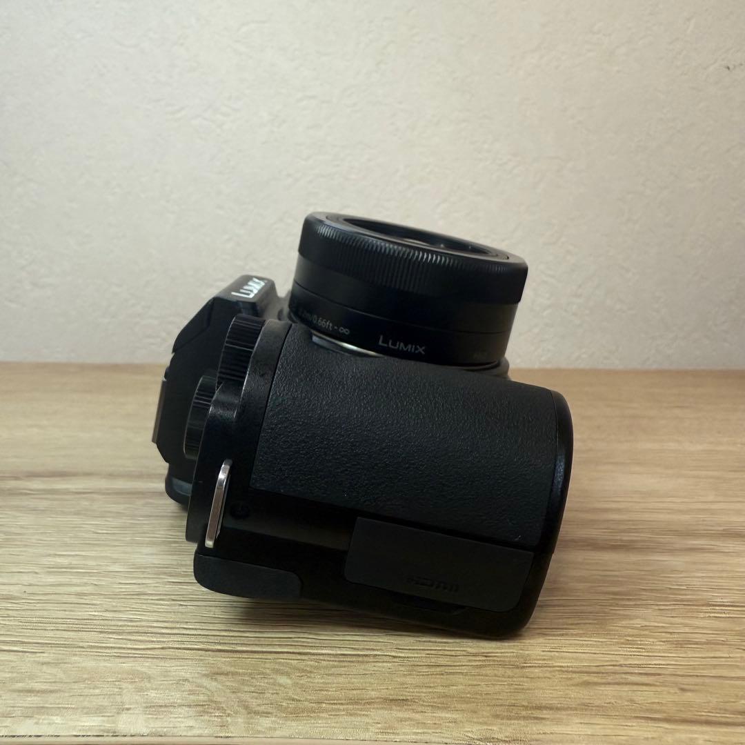 LUMIX パナソニック DC-G100 標準ズームレンズ