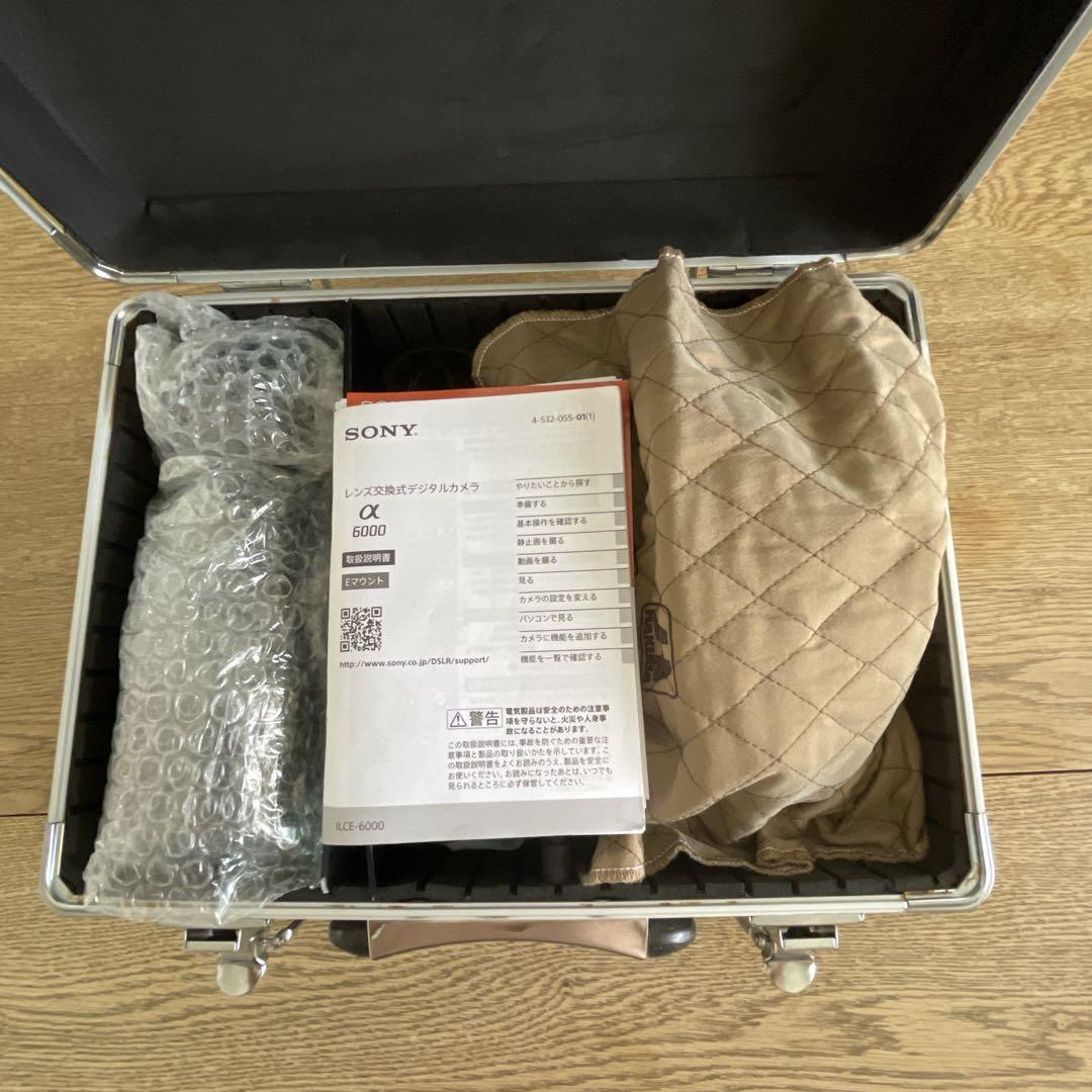 SONY α6000 ミラーレス一眼ILCE-6000Y ショット数979枚