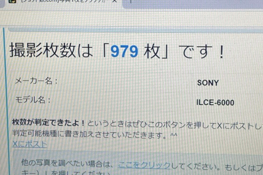 SONY α6000 ミラーレス一眼ILCE-6000Y ショット数979枚