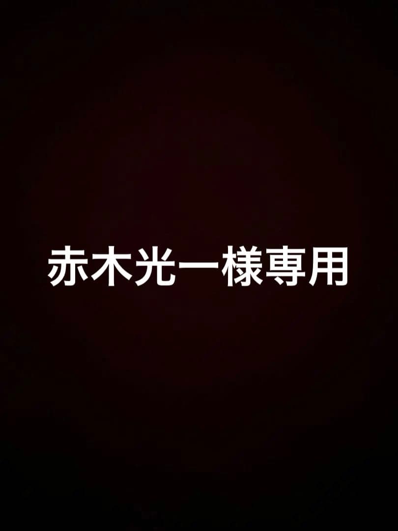 FISCHER RC4 SL スキー 145cm Z11ビンディング