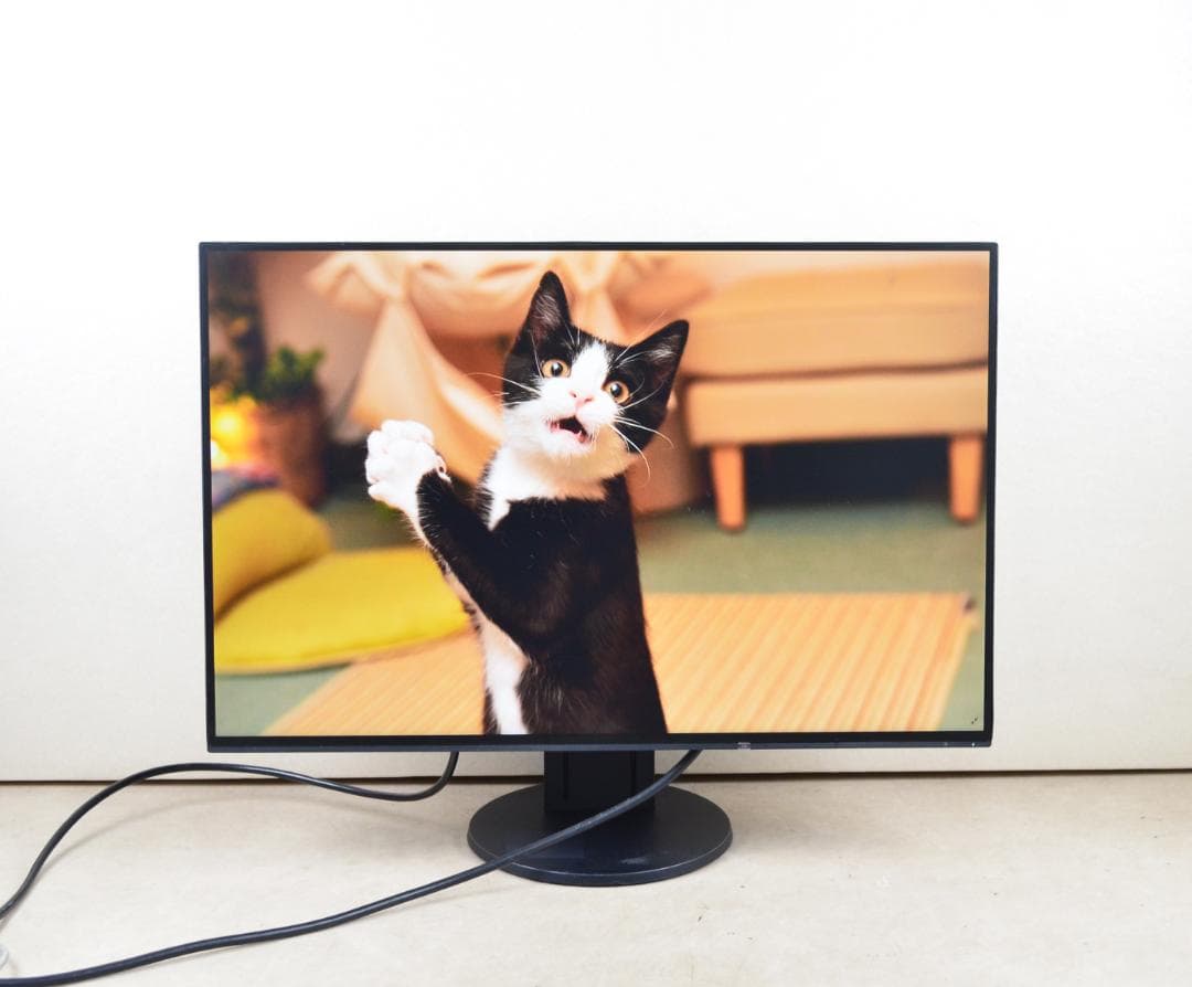 6319　超狭額　EIZO　EV2456　24型　WUXGA　HDMI　IPS