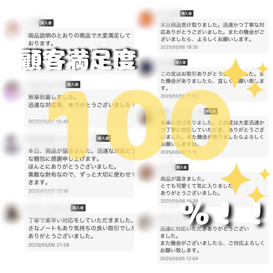 ガルニ 10周年 クロッケリー ビッグロゴ ネックレス 希少 美品