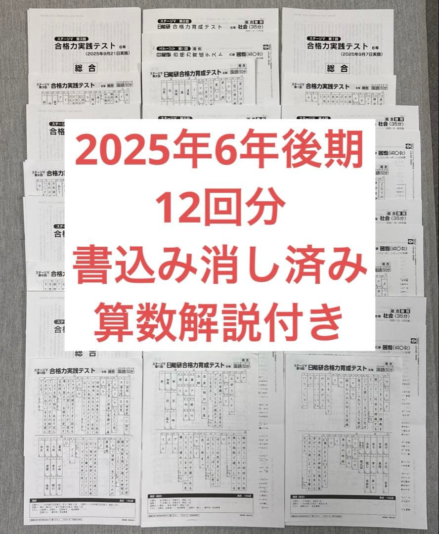 [25年最新] 日能研6年 後期合格力育成 合格力実践テスト12回分(Mクラス)
