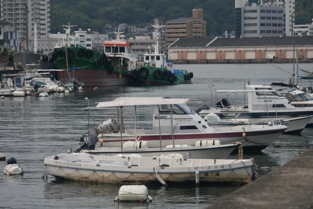 キャノン　EOS KissデジタルX、キヤノンズームレンズ35-105ｍｍ