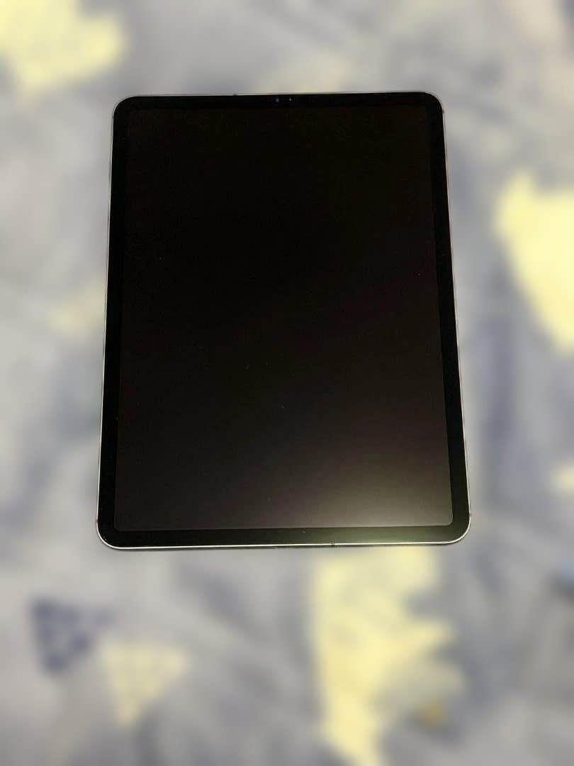 iPad Pro 11インチ 第一世代 256GB Cellular