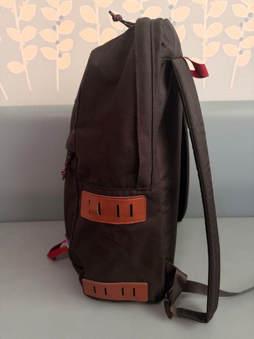 【極美品】パタゴニア アーバー・デイパックArbor Day Pack 20L