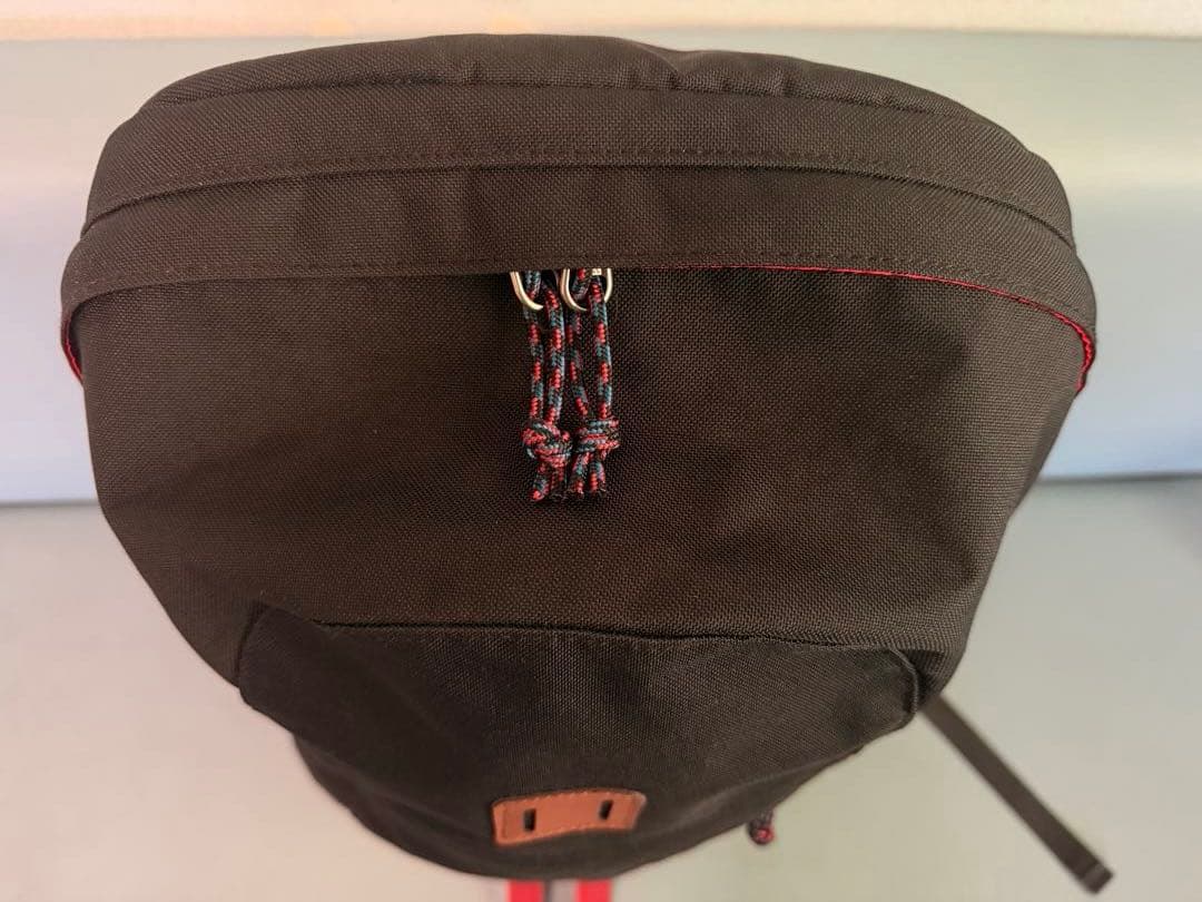 【極美品】パタゴニア アーバー・デイパックArbor Day Pack 20L