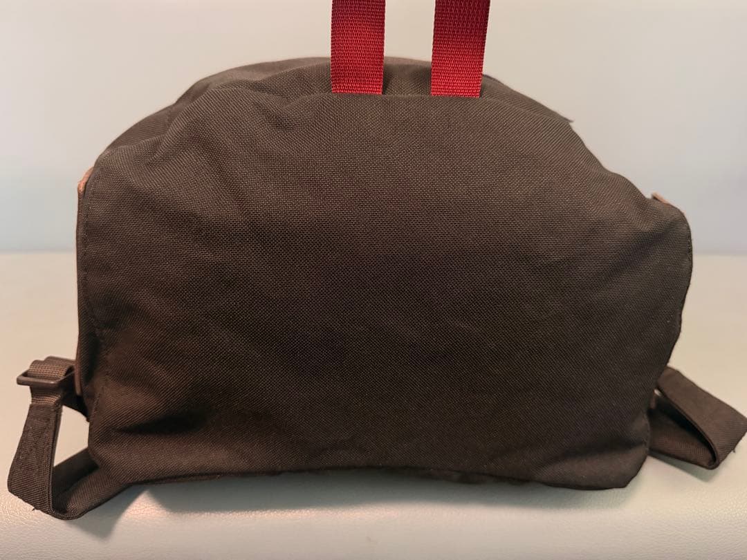 【極美品】パタゴニア アーバー・デイパックArbor Day Pack 20L