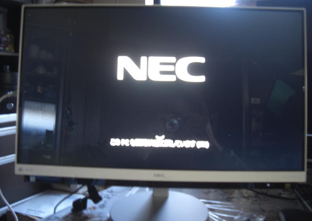 ツッチー★WIN11搭載NECデスクトップ一体型パソコンPC-GD254U