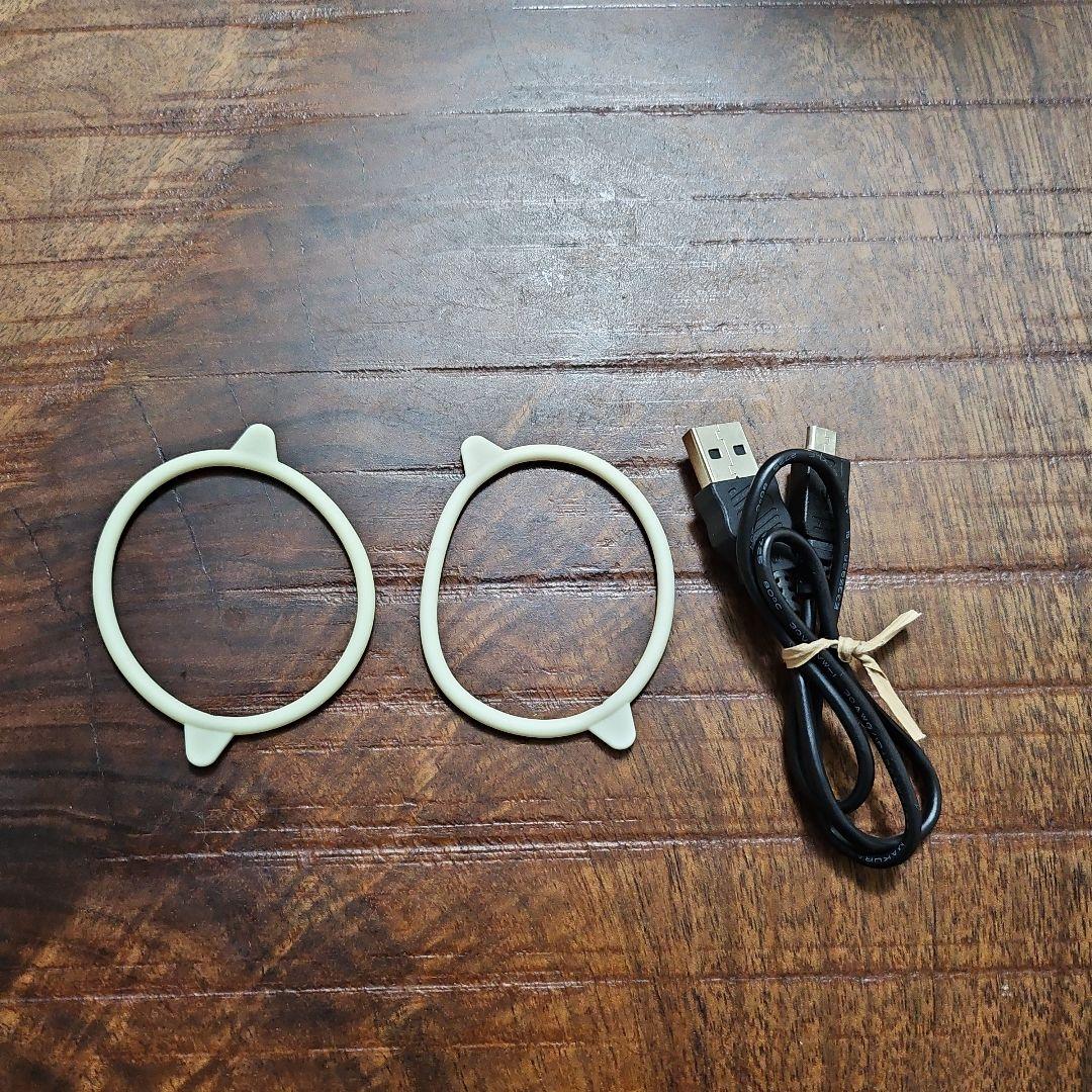 PAS RIRE 美顔器 EMS RF LEDライト付き