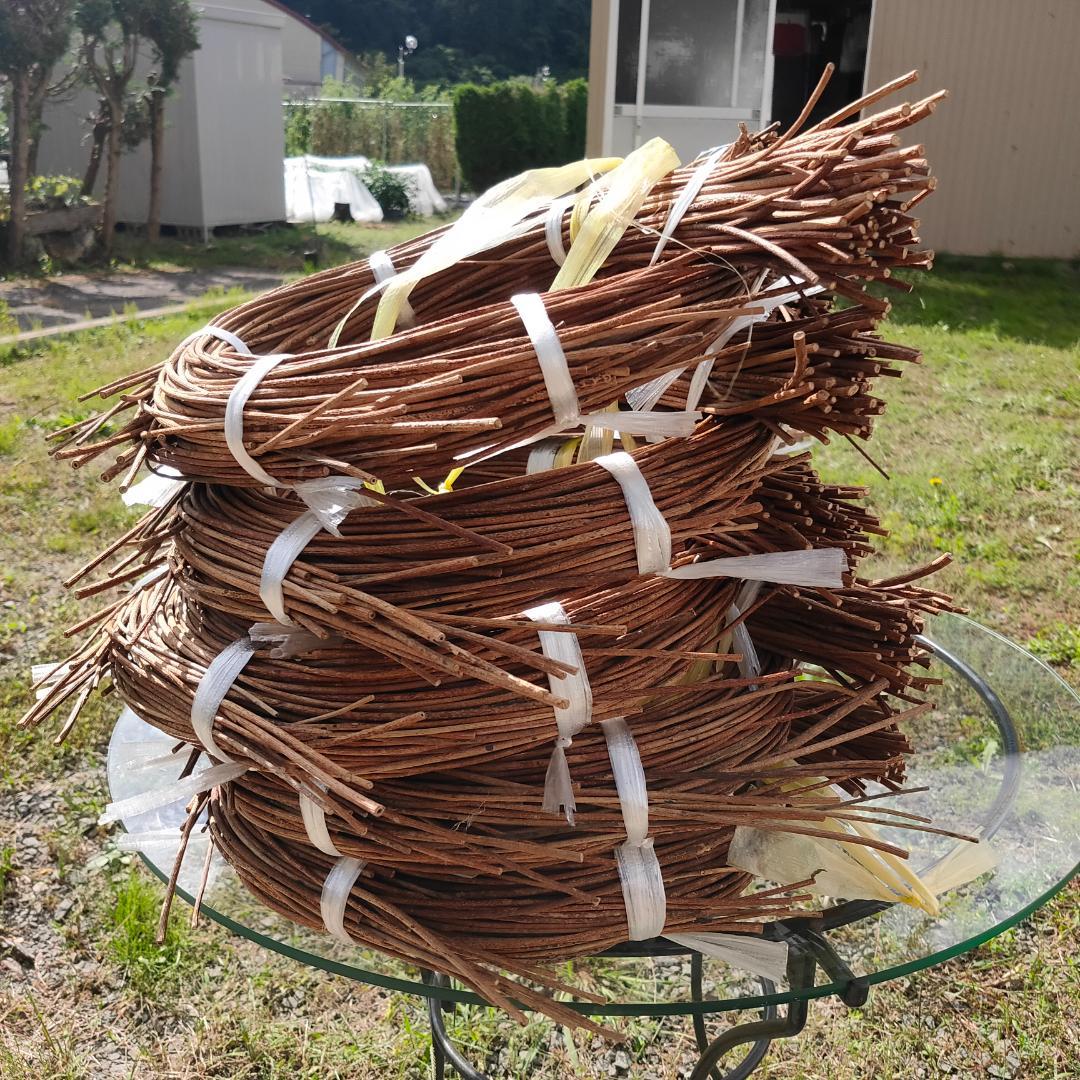 青森県岩木山採取　あけび蔓　70cm～150cm　5kg