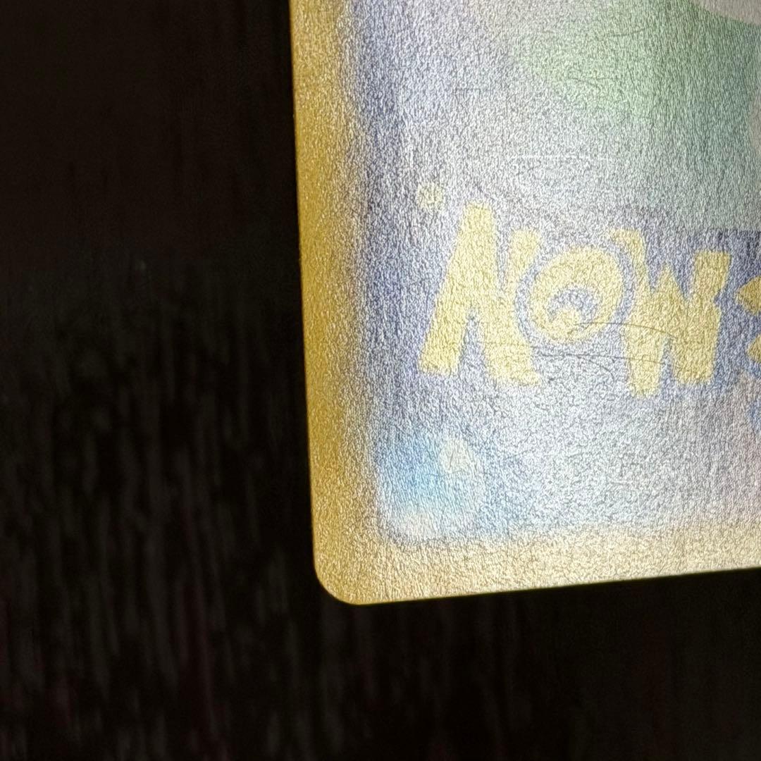 【大特価】シロナのガブリアスex SAR