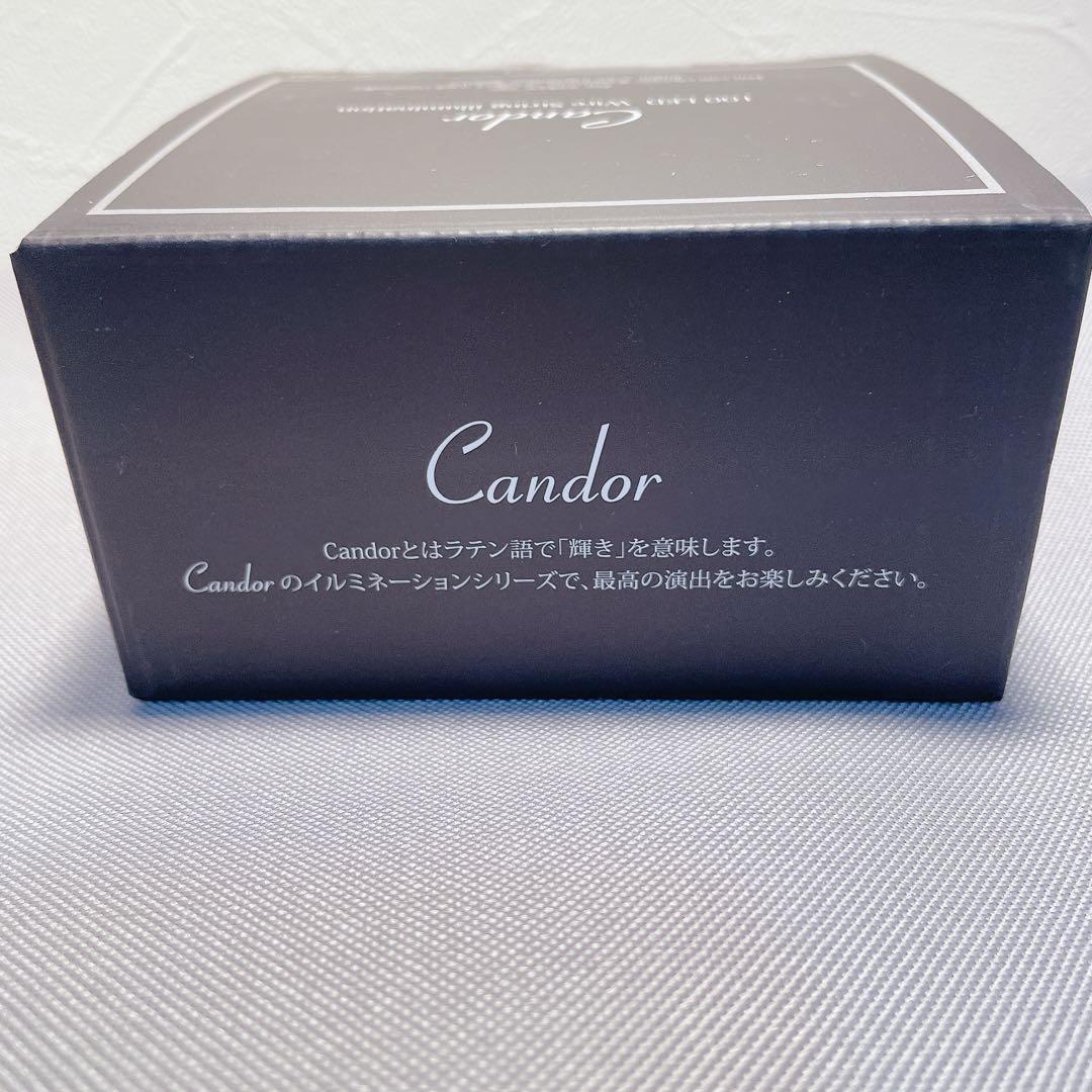 【えりなさん専用】アルザスオーナメント62p＋LED100球＋収納ボックス付き