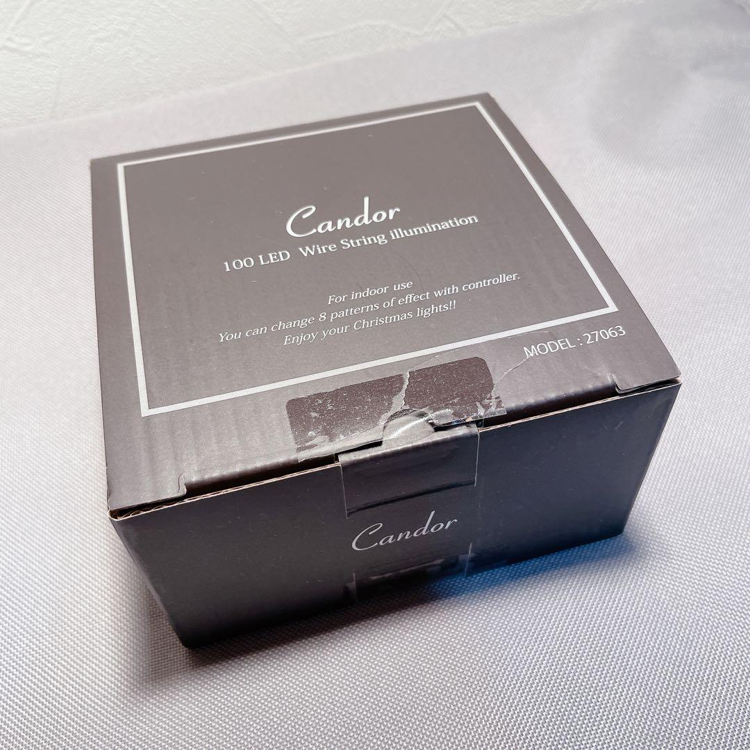 【えりなさん専用】アルザスオーナメント62p＋LED100球＋収納ボックス付き