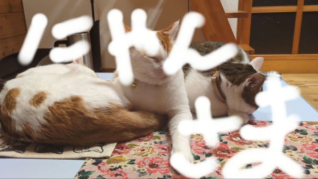 ソワーニュクレンジング２本