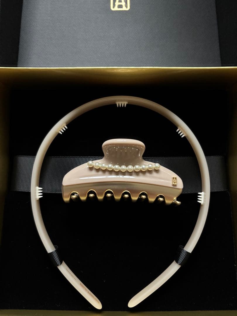 ⭐︎り⭐︎ ALEXANDRE DE PARIS ヘアバンド×クリップのセット