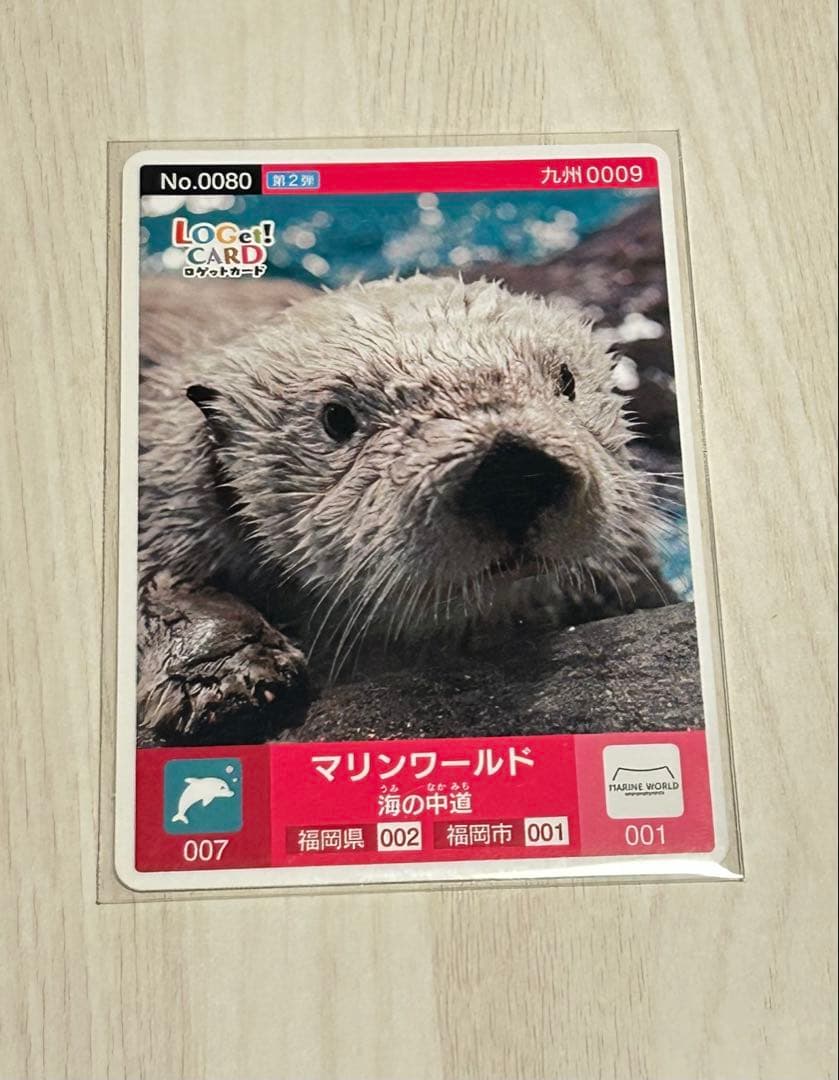ロゲットカード　マリンワールド海の中道　ラッコ　リロ君