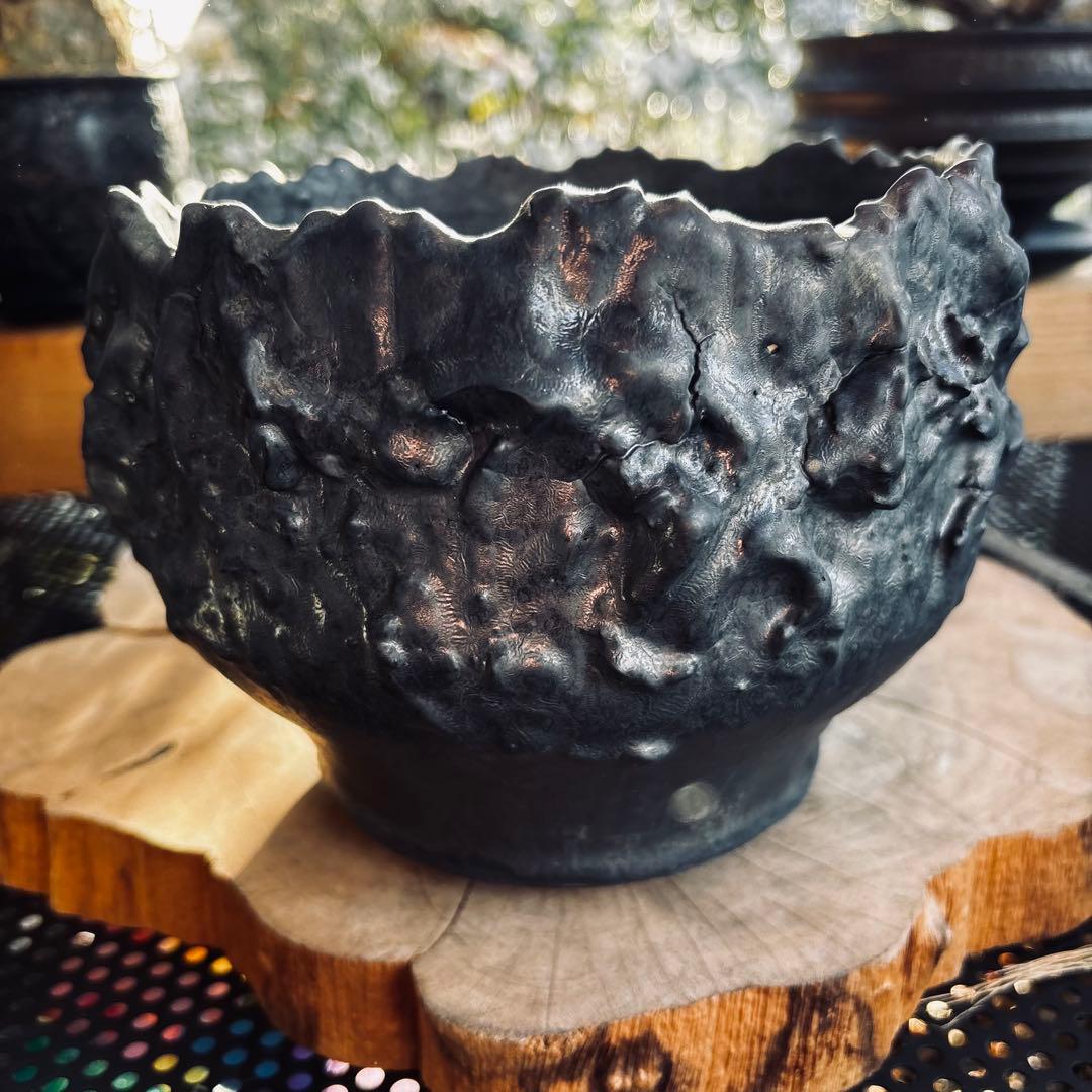 短期間限定大幅値下げ！特大鉢 美品 内田裕太 作家鉢 モンスト y鉢 アガベ