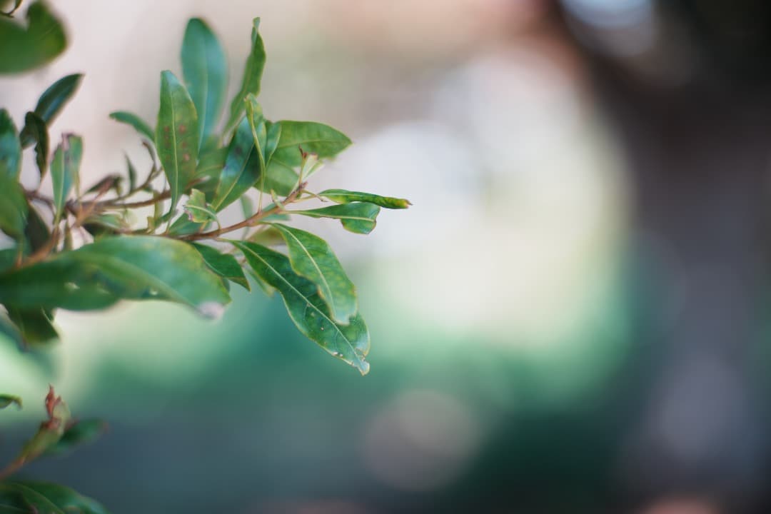 【極美品】Carl Zeiss Planar 85mm F1.4 MMJ 110