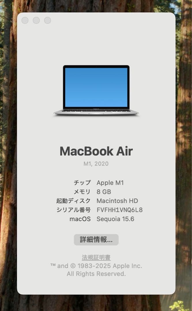 Apple MacBook シルバー