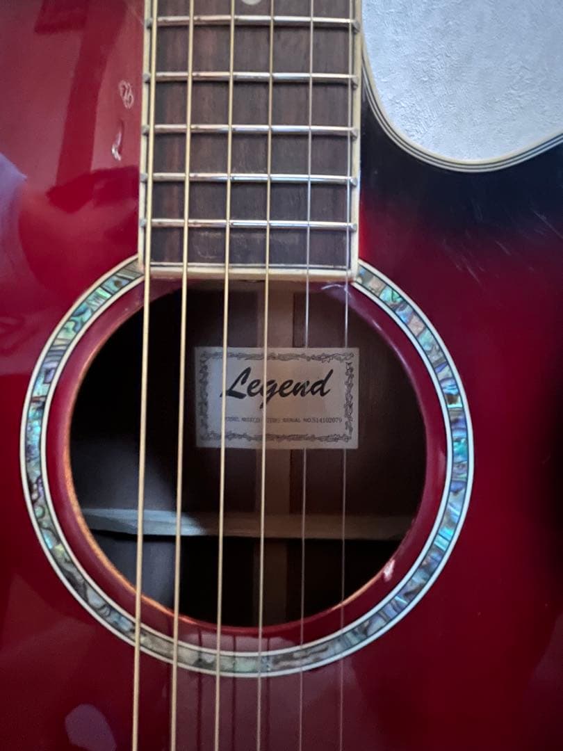Legendエレアコ　ケース　スタンド　　　カポ付き