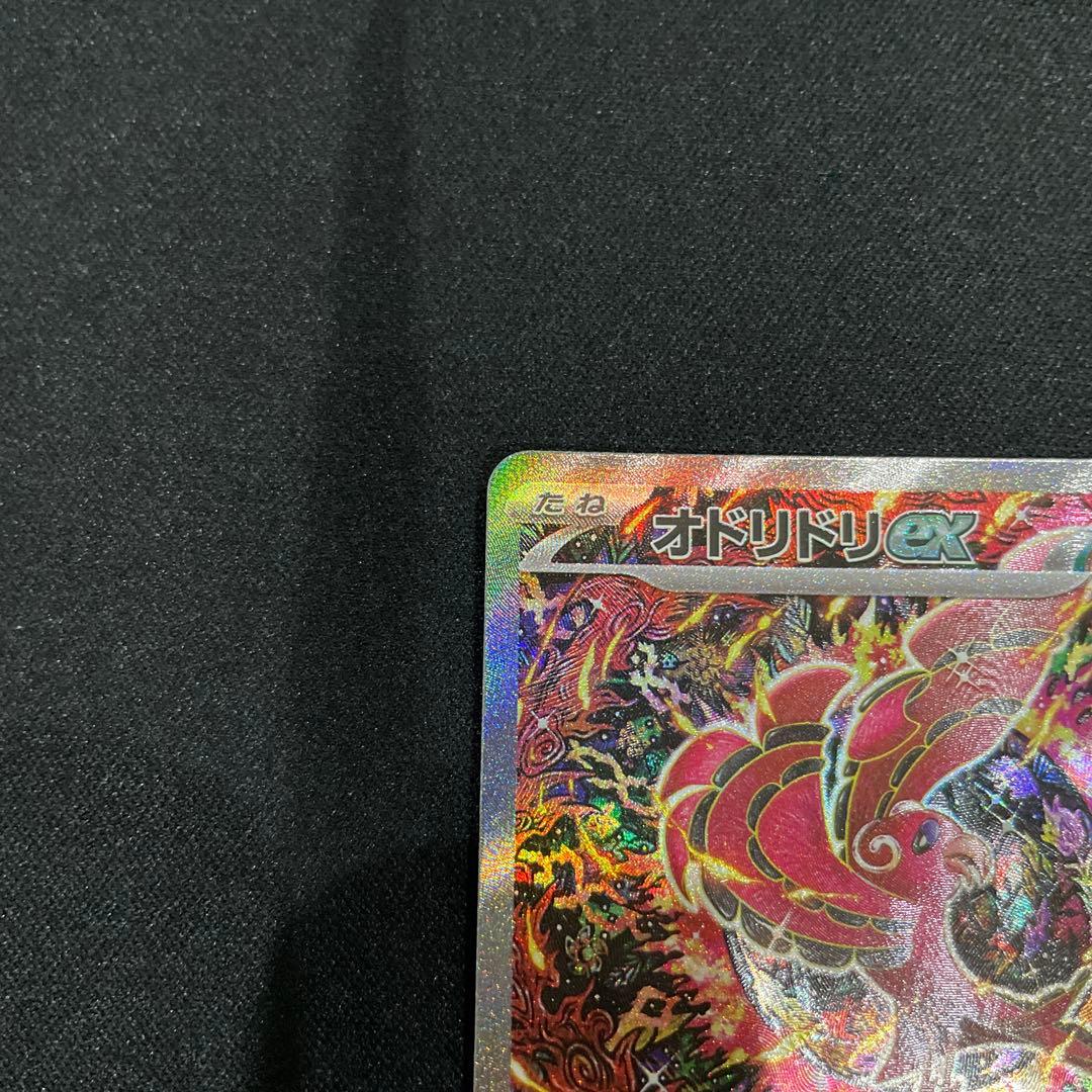 オドリドリEX sar