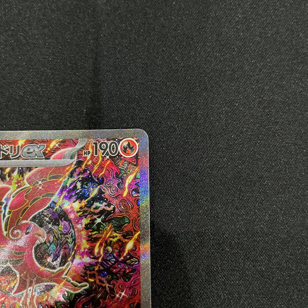 オドリドリEX sar