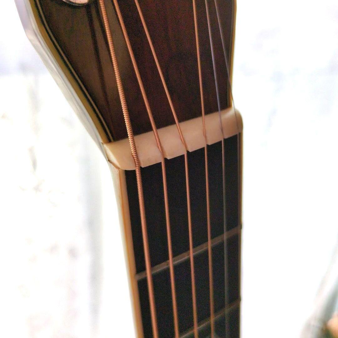 希少　新品弦　現状販売 MORRIS TF W-50 ハカランダモデル