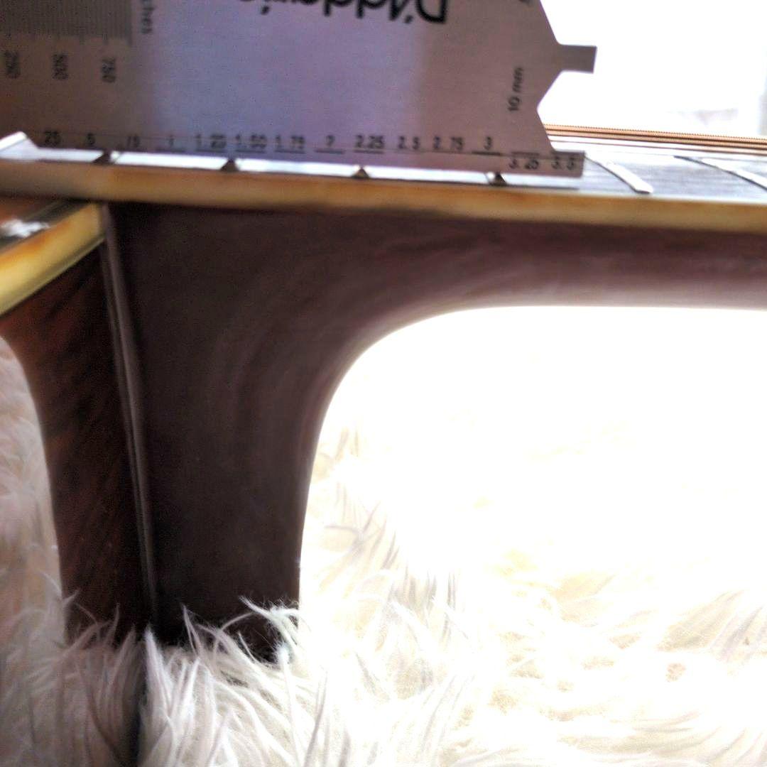 希少　新品弦　現状販売 MORRIS TF W-50 ハカランダモデル