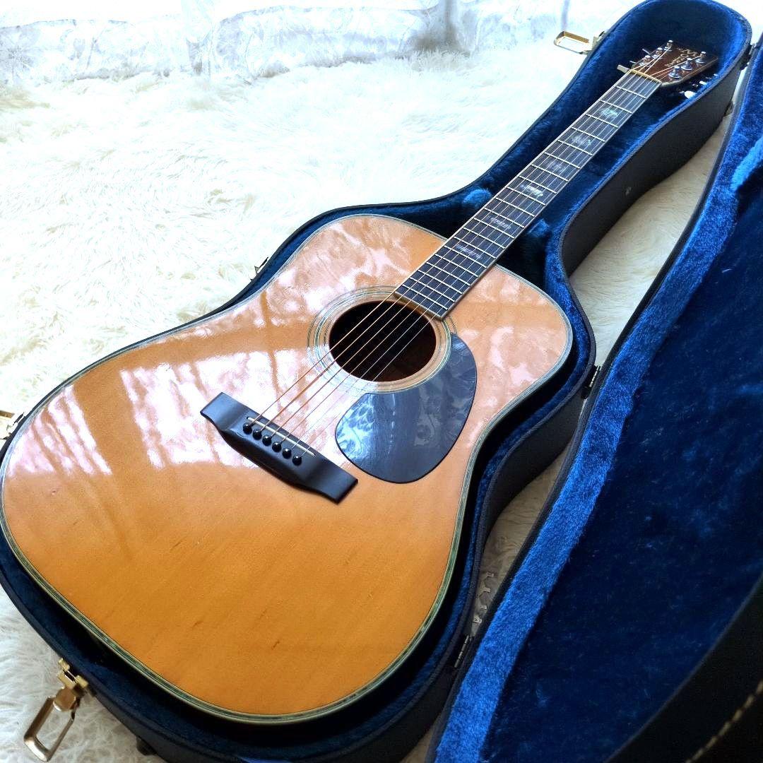 希少　新品弦　現状販売 MORRIS TF W-50 ハカランダモデル