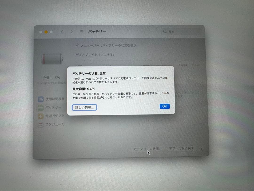 MacBook Air M1 1TB 最大容量94% メモリ16GB