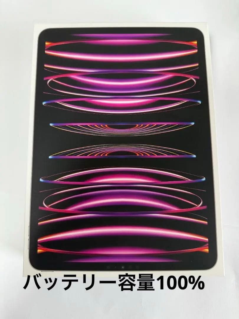 【美品】Apple iPadPro11インチ第4世代WiFi 256GB