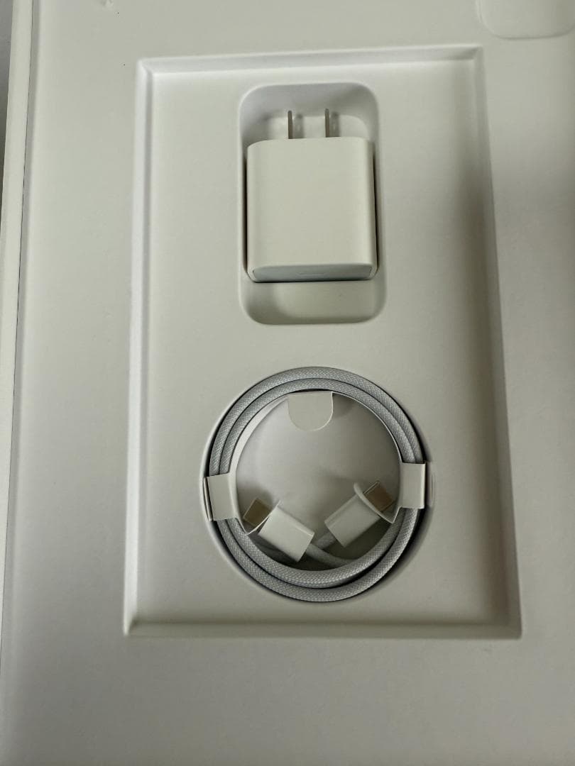 【美品】Apple iPadPro11インチ第4世代WiFi 256GB