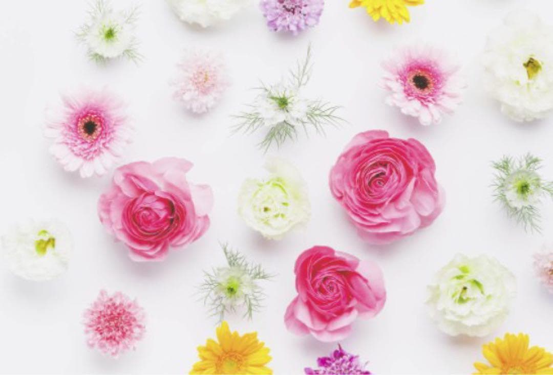 5台　リファレイ