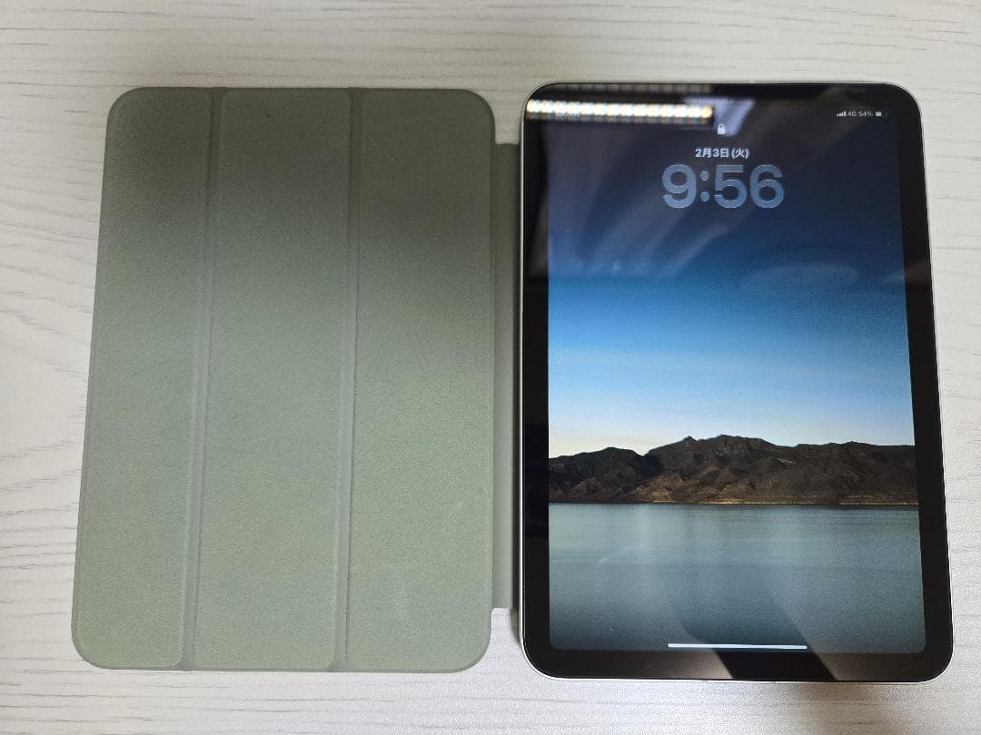 iPad mini Wi-Fi+Cellularモデル 256GB スターライト