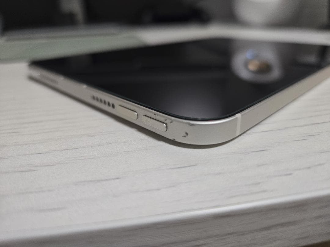 iPad mini Wi-Fi+Cellularモデル 256GB スターライト